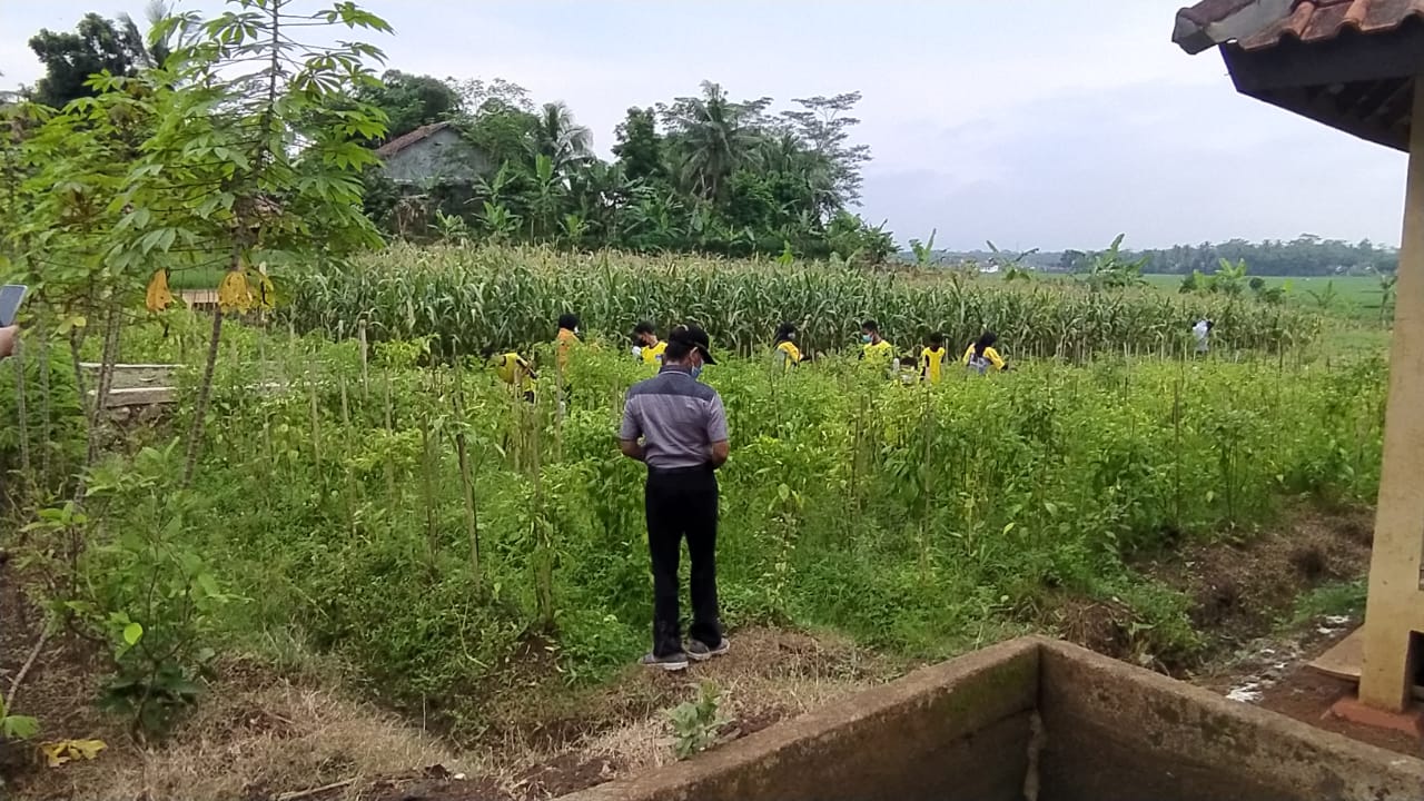 project